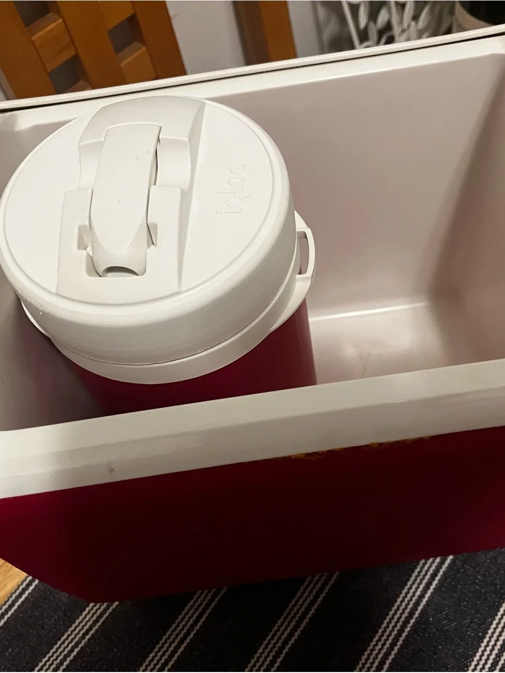 Little Playmate Elite Cooler - Cream & Deep Red